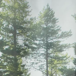 AVESTA Badeforhæng|Badeforhæng 150x200 fotoprint