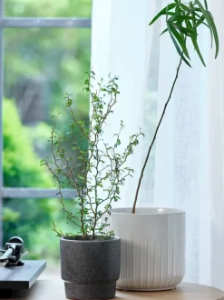 KNUDSEN Blomsterpotter|Blomsterpotte Ø20xH18cm hvid