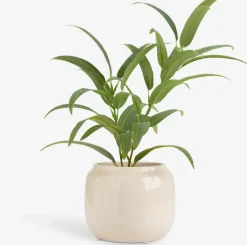 MARCUS Blomsterpotter|Blomsterpotte Ø16xH13cm beige