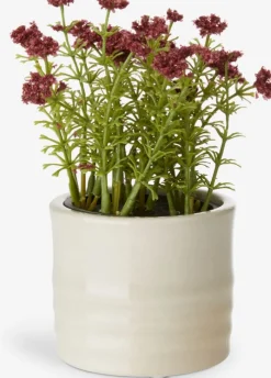 TIM Blomsterpotter|Blomsterpotte Ø9xH7cm assorteret