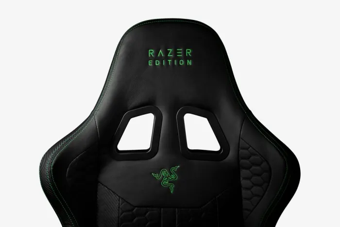 TYPE Z 窶 Gamer Stole|Gamer-stol TYPE Z RAZER ed.邃