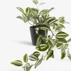 ASGAR Kunstige Planter|Kunstig plante H24cm