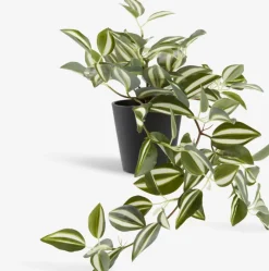 ASGAR Kunstige Planter|Kunstig plante H24cm