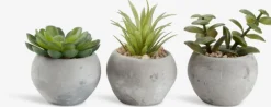 BROR Kunstige Planter|Kunstig plante Ø7xH9cm assorteret