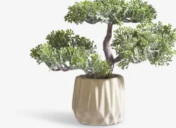 BRYNJAR Kunstige Planter|Kunstig plante H22cm m/potte