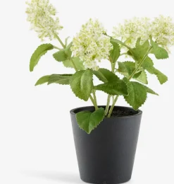 DANIEL Kunstige Planter|Kunstig plante Ø10xH22cm m/potte