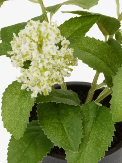 DANIEL Kunstige Planter|Kunstig plante Ø10xH22cm m/potte