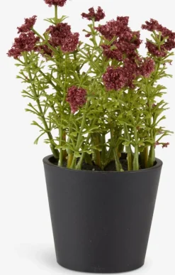KALLE Kunstige Planter|Kunstig plante Ø13xH16 Bordeaux