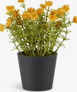 KALLE Kunstige Planter|Kunstig plante Ø13xH16cm Gul