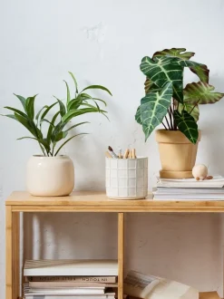 LARSSON Kunstige Planter|Kunstig plante Ø11xH43 cm