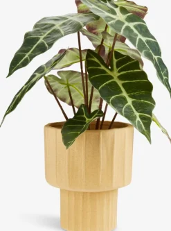 MARIUS Kunstige Planter|Kunstig plante Ø38xH42cm