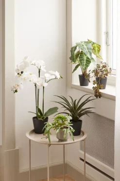 MATINUS Kunstige Planter|Kunstig plante H62cm m/blomster