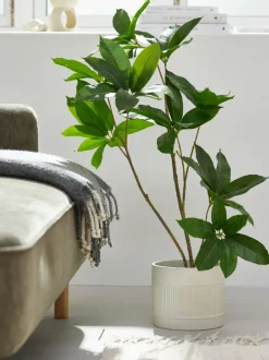 TRISTAN Kunstige Planter|Kunstig plante H90cm