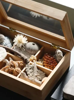 STORM Køkkentilbehør|Tekasse B23xL16xH8cm træ